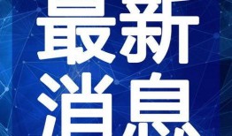 大众汽修爆料视频大全最新,最新爆料视频大全深度解析