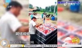 山东阿康爆料事件视频,揭秘事件背后真相