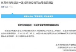东莞爆料最新消息今天,突发事件引发关注，详情即将揭晓！